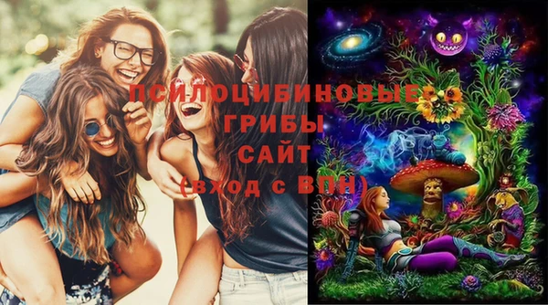 прущая мука Верея